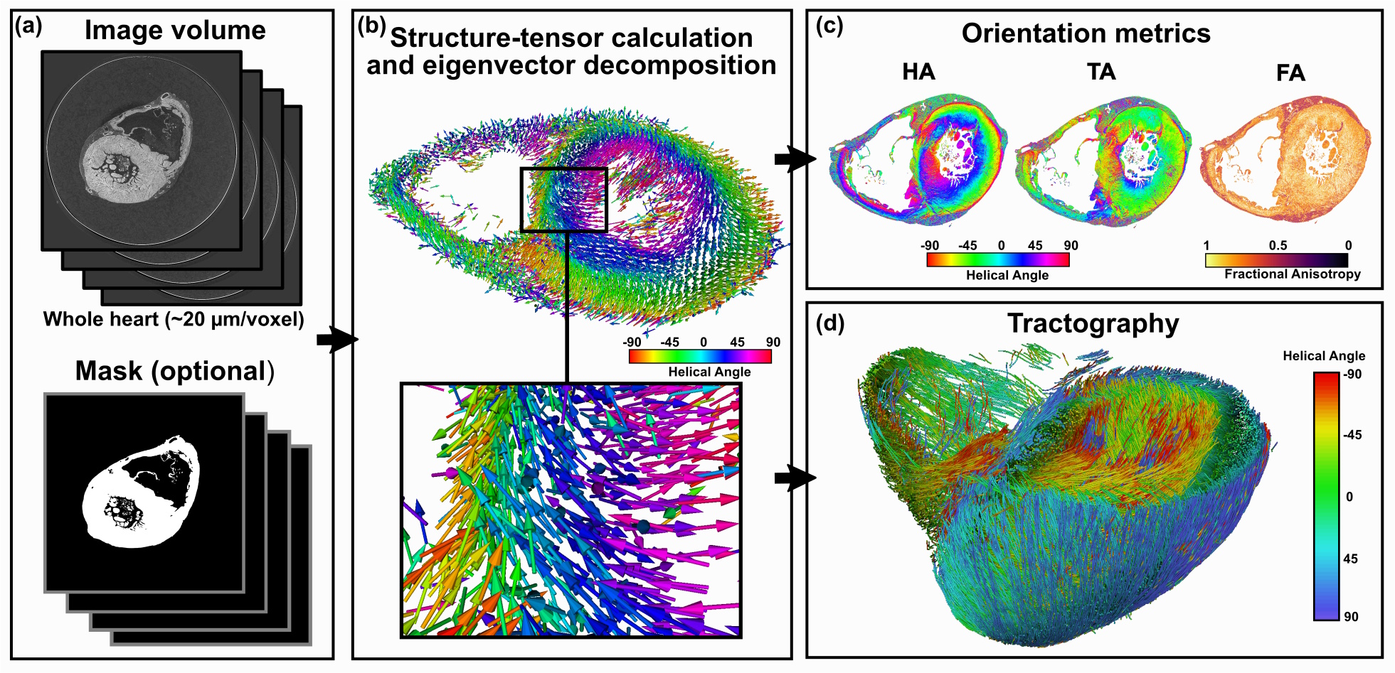 Cardiotensor workflow for 3D orientation analysis