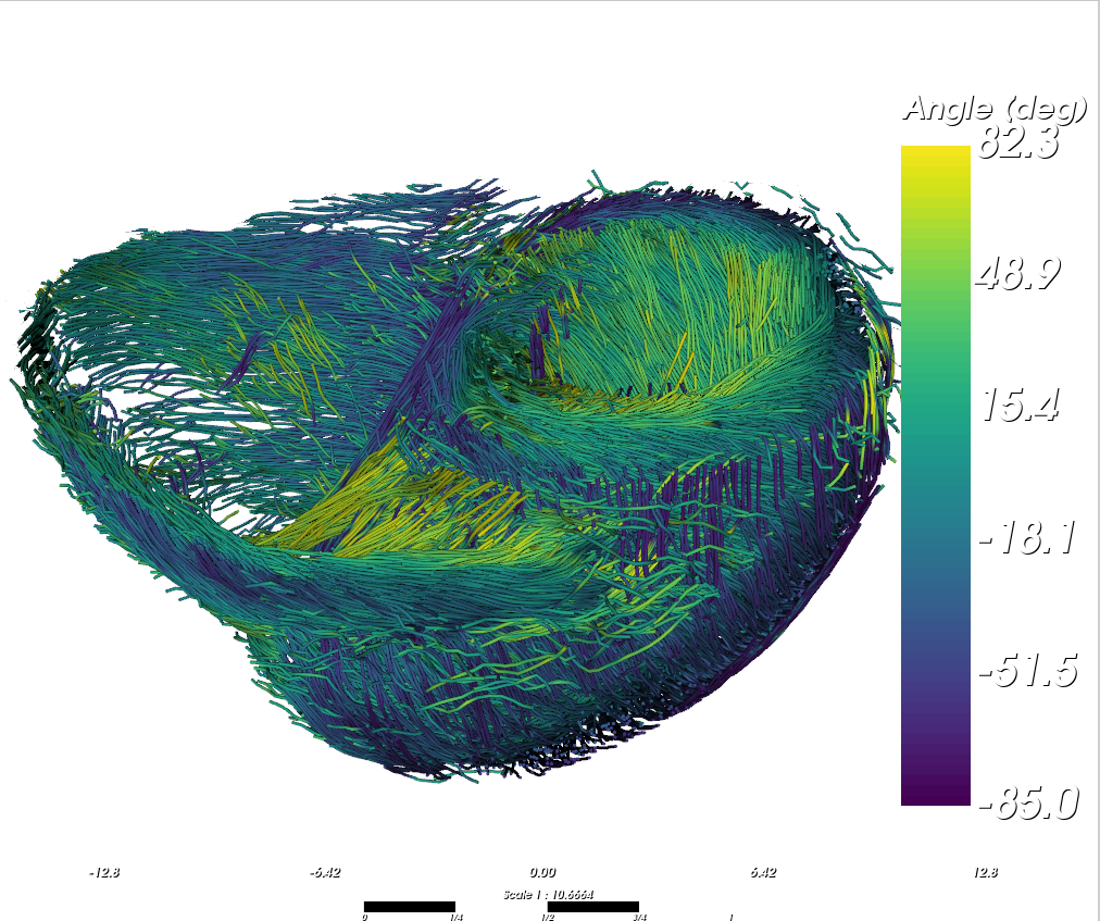 Streamline visualization